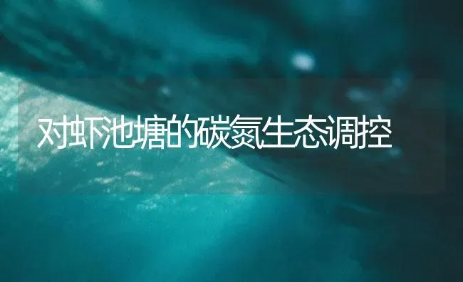 对虾池塘的碳氮生态调控 | 海水养殖