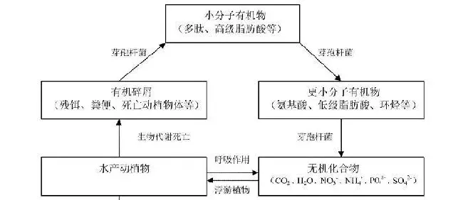 【淡水鱼专题】鱼类养殖后期的稳水策略