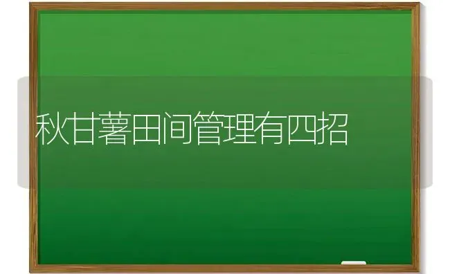 当前谨防鸭“倒蛋” | 家禽养殖