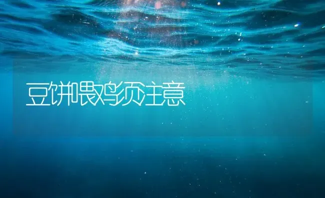 斑点叉尾鮰鱼种培育技术 | 淡水养殖