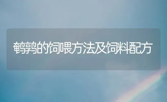 鹌鹑的饲喂方法及饲料配方 | 动物养殖饲料