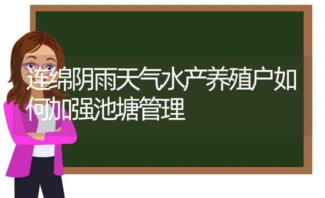 连绵阴雨天气水产养殖户如何加强池塘管理 | 动物养殖百科