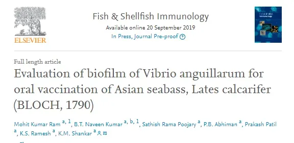 论文解读--鳗弧菌生物被膜在亚洲鲈鱼口服疫苗中的作用