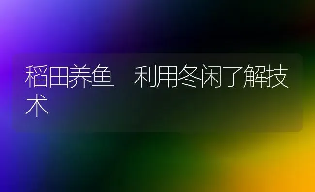 稻田养鱼 利用冬闲了解技术 | 淡水养殖