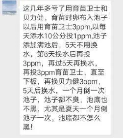 海参育苗行业竞争日益激烈，运用水质修复技术让你不再压力山大