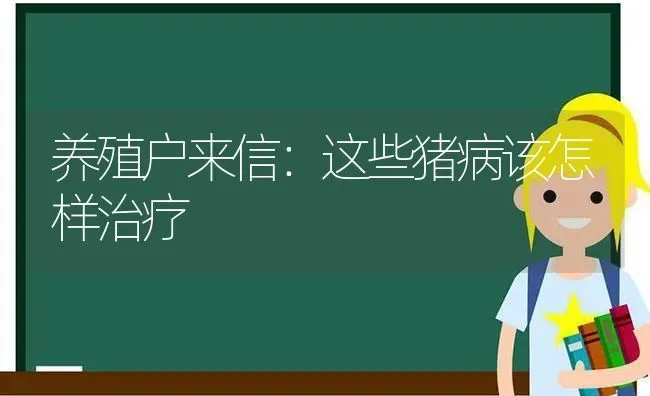 养殖户来信：这些猪病该怎样治疗 | 家畜养殖