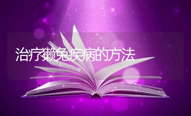 治疗獭兔疾病的方法 | 家畜养殖