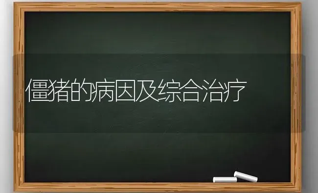僵猪的病因及综合治疗 | 家畜养殖