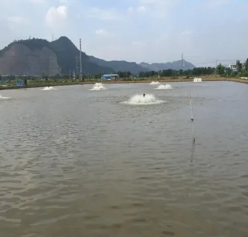 海鲈鱼池塘杀虫缺氧中毒的处理方法