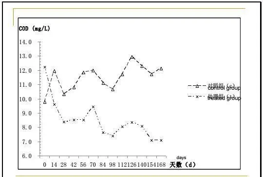 江兴龙教授谈池塘生物膜低碳养殖技术