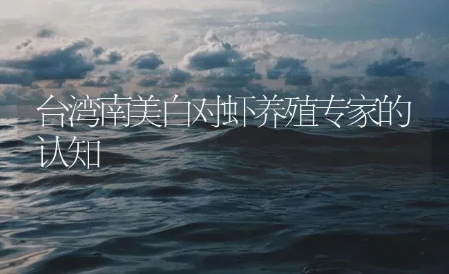 台湾南美白对虾养殖专家的认知 | 海水养殖