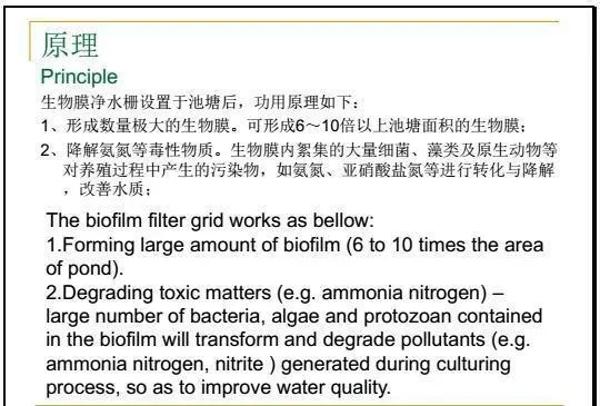 江兴龙教授谈池塘生物膜低碳养殖技术