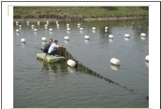 江兴龙教授谈池塘生物膜低碳养殖技术