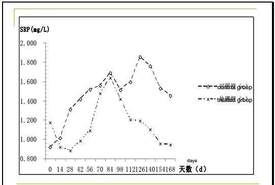 江兴龙教授谈池塘生物膜低碳养殖技术