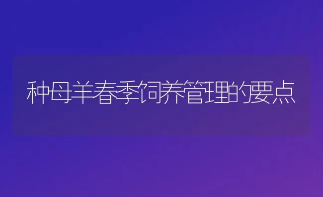 种母羊春季饲养管理的要点 | 家畜养殖