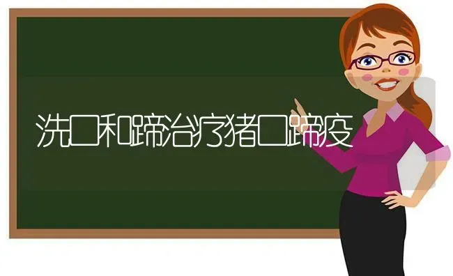 洗口和蹄治疗猪口蹄疫 | 家畜养殖
