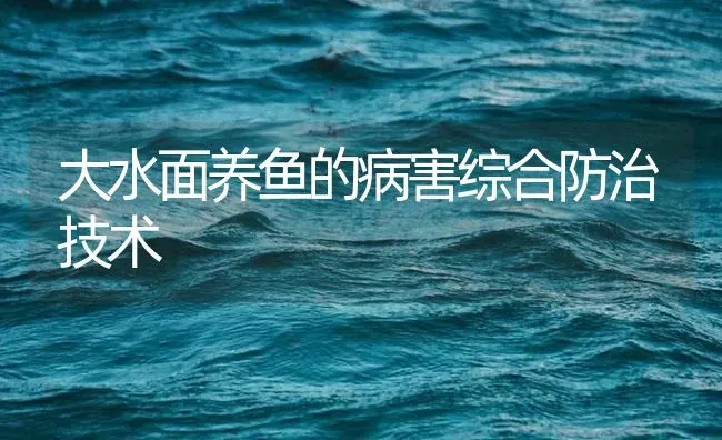 大水面养鱼的病害综合防治技术 | 养殖病虫害防治