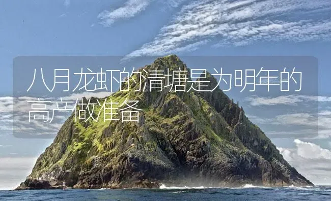 八月龙虾的清塘是为明年的高产做准备 | 海水养殖