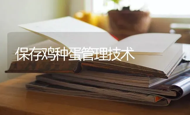 保存鸡种蛋管理技术 | 家禽养殖