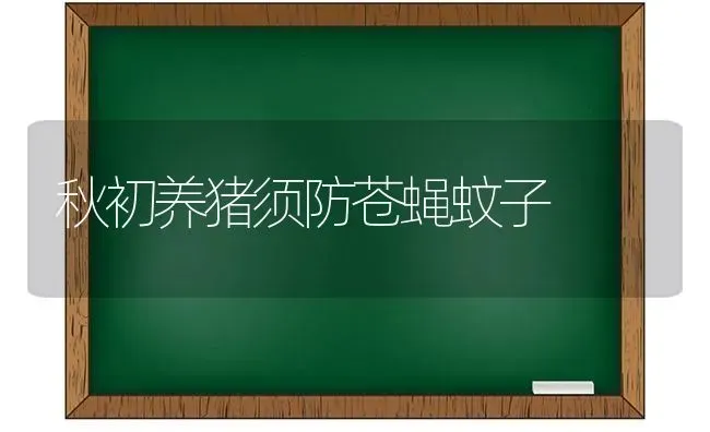 秋初养猪须防苍蝇蚊子 | 家畜养殖