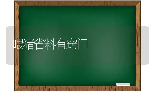 喂猪省料有窍门 | 家畜养殖