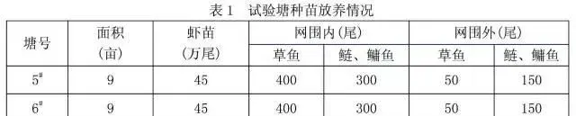 南美白对虾养殖失败怎么办？高手教你新模式