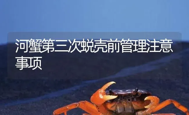 河蟹第三次蜕壳前管理注意事项 | 淡水养殖