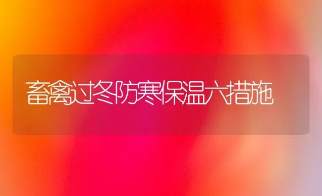 畜禽过冬防寒保温六措施 | 家禽养殖