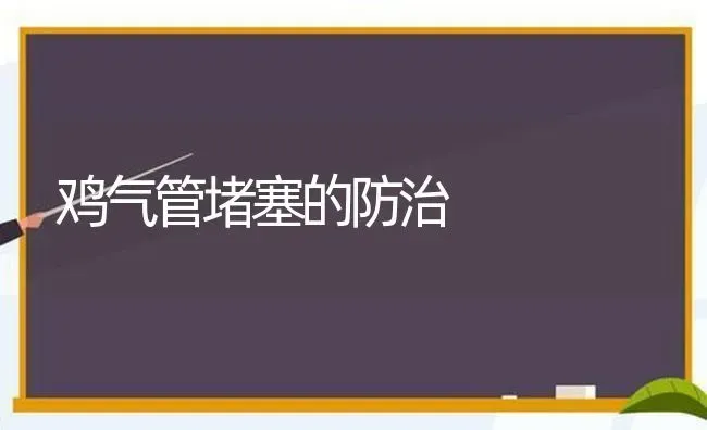 鸡气管堵塞的防治 | 家禽养殖