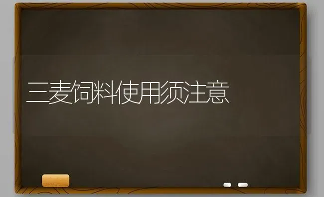 三麦饲料使用须注意 | 动物养殖饲料