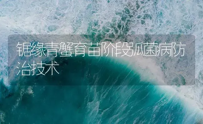 锯缘青蟹育苗阶段弧菌病防治技术 | 海水养殖