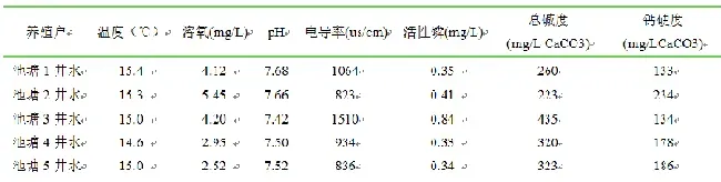 黄河滩地下井水原来这么有内涵，很多水产养殖户都不知道