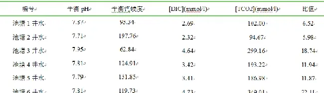 黄河滩地下井水原来这么有内涵，很多水产养殖户都不知道