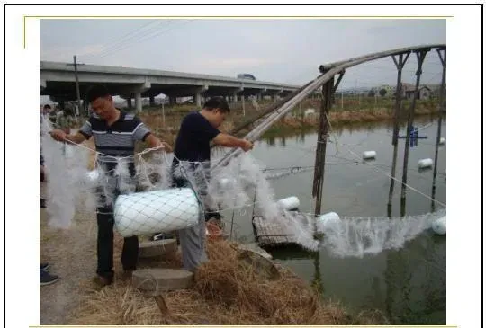 江兴龙教授谈池塘生物膜低碳养殖技术