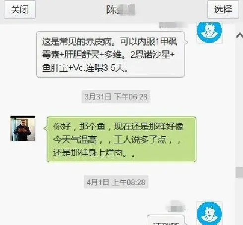 “麦麸皮+植物油”组合，也是治鱼病的黄金搭档？