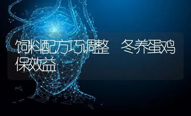 饲料配方巧调整 冬养蛋鸡保效益 | 家禽养殖