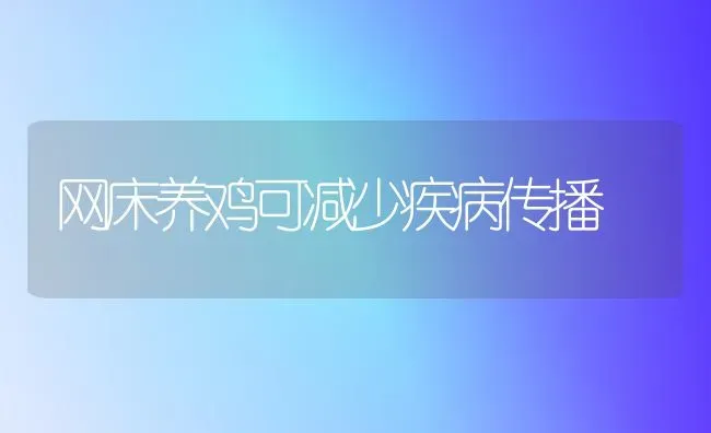 网床养鸡可减少疾病传播 | 家禽养殖