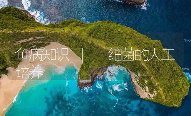 鱼病知识 | 细菌的人工培养 | 养殖病虫害防治