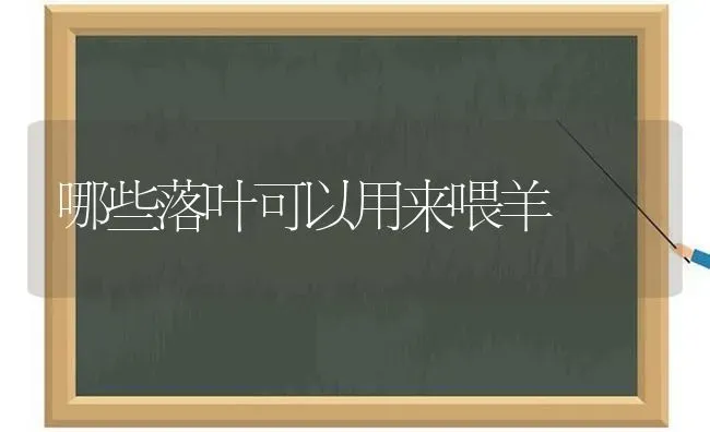 哪些落叶可以用来喂羊 | 家畜养殖