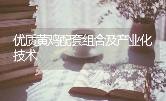 优质黄鸡配套组合及产业化技术 | 家禽养殖