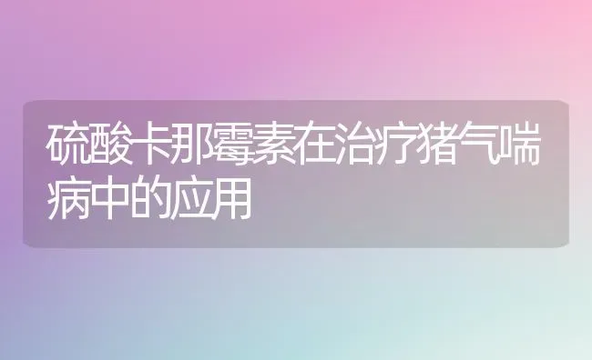硫酸卡那霉素在治疗猪气喘病中的应用 | 家畜养殖