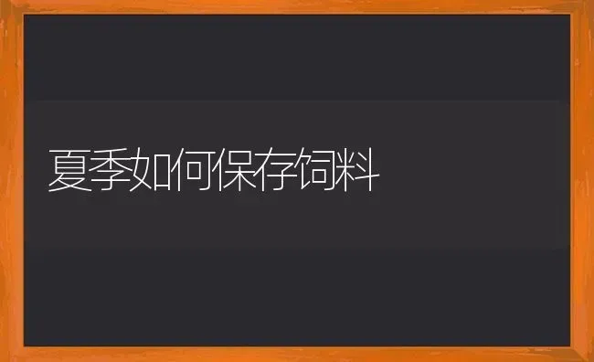 夏季如何保存饲料 | 动物养殖饲料