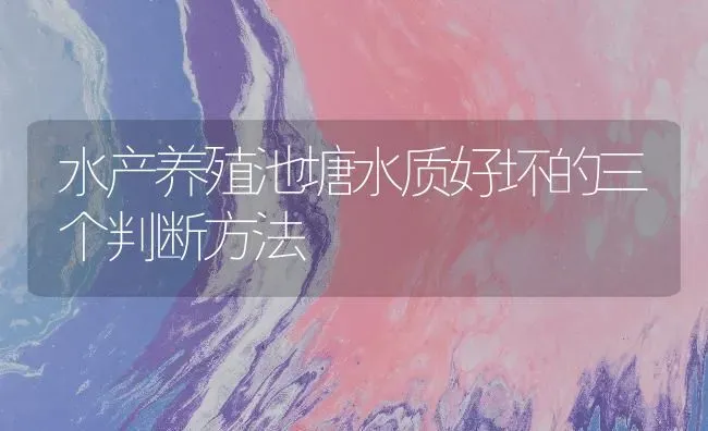 水产养殖池塘水质好坏的三个判断方法 | 动物养殖百科