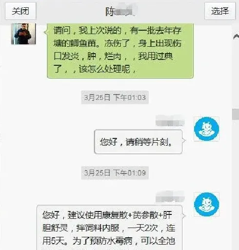 “麦麸皮+植物油”组合，也是治鱼病的黄金搭档？