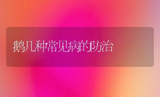 鹅几种常见病的防治 | 家禽养殖