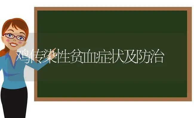 鸡传染性贫血症状及防治 | 家禽养殖