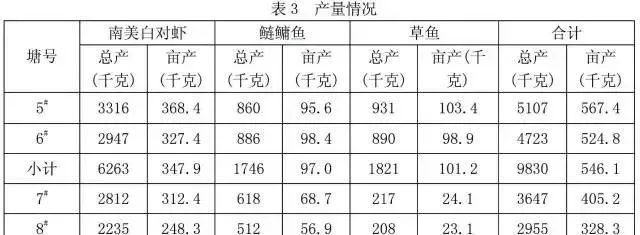 南美白对虾养殖失败怎么办？高手教你新模式