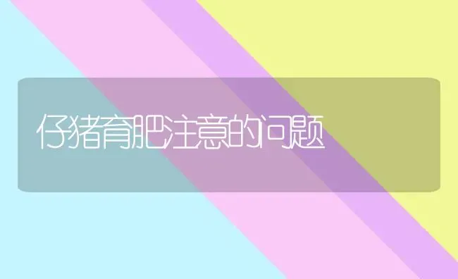 仔猪育肥注意的问题 | 家畜养殖