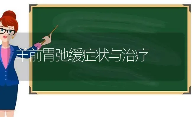 羊前胃弛缓症状与治疗 | 家畜养殖