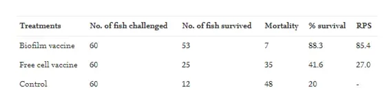 论文解读--鳗弧菌生物被膜在亚洲鲈鱼口服疫苗中的作用